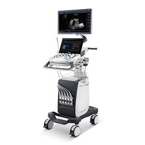 P10 Ultrasound Solutions with Flexibility