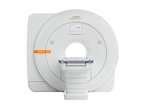 Veterinary Services MAGNETOM Sempra