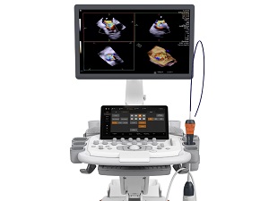 AcuNav Lumos 4D ICE Catheter